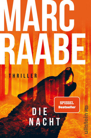 Buchcover Raabe