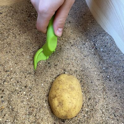 Kartoffel ernten